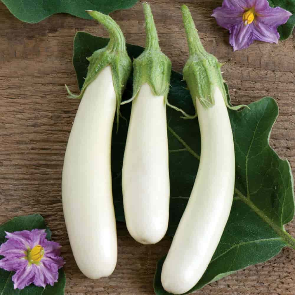 تصویر 2 از خرید و قیمت بادمجان سفید + فروش صادراتی